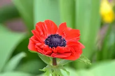 DSC_4665.jpg