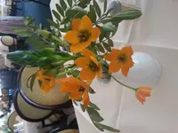 20160403_163014.webp