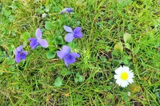 DSCF5532 (2).webp
