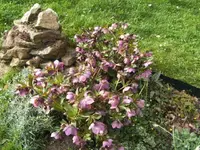 BILD4910.webp