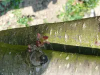 P1090995.webp P1090995.webp