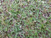 20160404_161256.webp