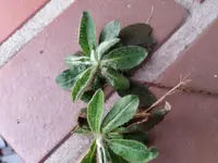 20160404_192440.webp