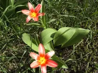 BILD4881.webp