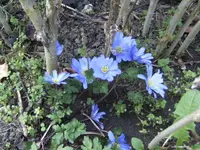 BILD4882.webp