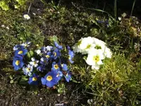 BILD4889.webp