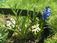 BILD4890.webp