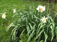 BILD4901.webp