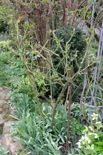 2016_04042016märz0084.webp