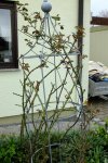 2016_04042016märz0078.jpg