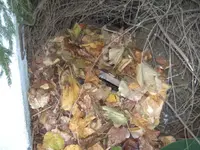 BILD4772.webp