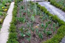 2016_04042016märz0114.webp
