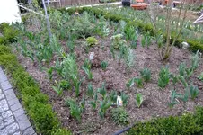 2016_04042016märz0115.webp