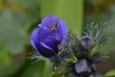 DSC_5049.webp