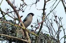 DSCF5560 (2).webp