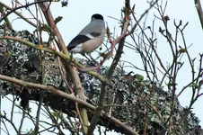 DSCF5561 (2).webp