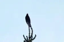 DSCF5574 (2).webp