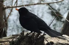 DSCF5551.webp