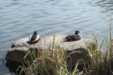 DSCF5554.webp