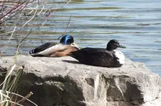 DSCF5556.webp