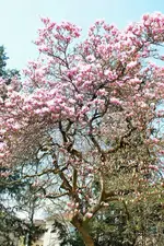 DSCF5545 (2).webp