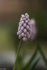 IMG_6953-2.webp