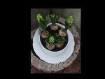 Hyacinthen Weiss 06.04.16.jpg