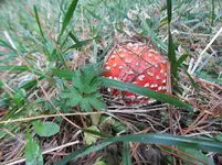 IMG_3424 v.webp