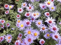 Bilda014.webp