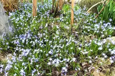 DSCF5541 (2).webp