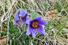 DSCF5577 (2).webp