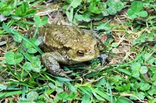 DSCF5595 (2).webp