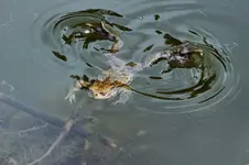DSCF5600 (2).webp