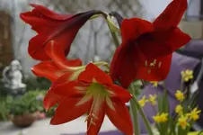 _DSC0191.webp