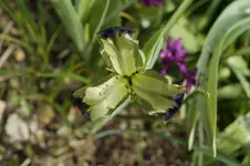 _DSC0207.webp