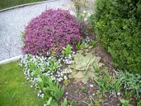 100_1914.webp