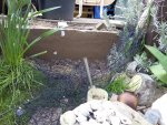 IMG_20160406_122950.jpg