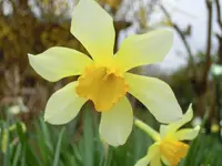 CIMG1839.webp