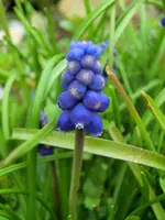 CIMG1844.webp