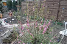 SAM_0903.webp