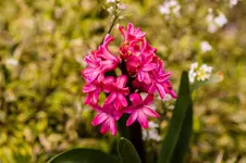 2016-04-06-2.webp
