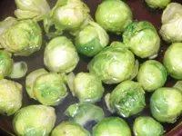 Rosenkohl.webp