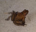 20160326_093031.jpg