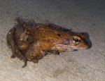 20160326_093040.jpg