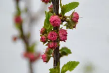 DSC_5730.jpg