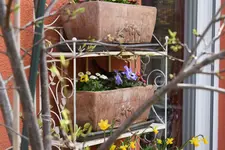 DSC_0055.webp