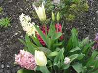 001.webp