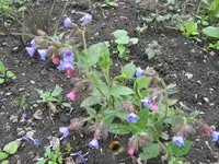 004.webp