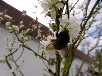 P1080087.webp
