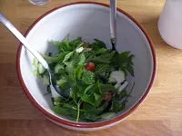 IMGP8582.webp